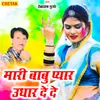 About Mari Babu Pyar Udhar De De Song